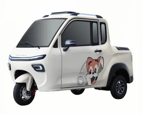 enclosed electric tricycle enclosed electric tricycle